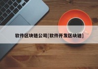 软件区块链公司[软件开发区块链]