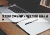 宣亚国际区块链科技公司[宣亚国际是什么板块]